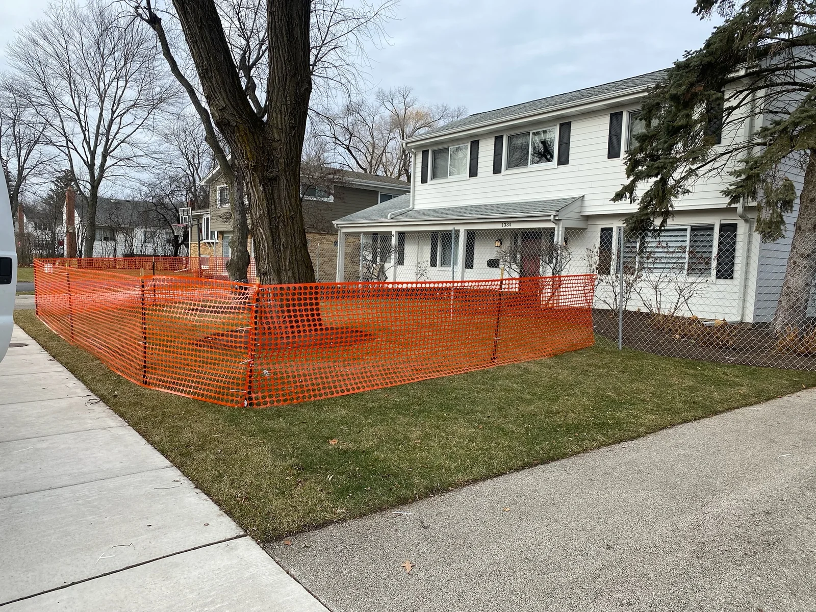 Tree protection