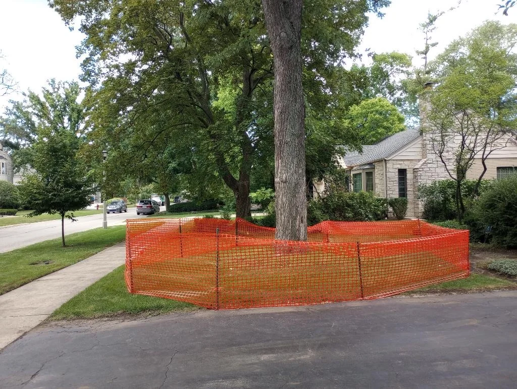 Orange Safety Fence project photo
