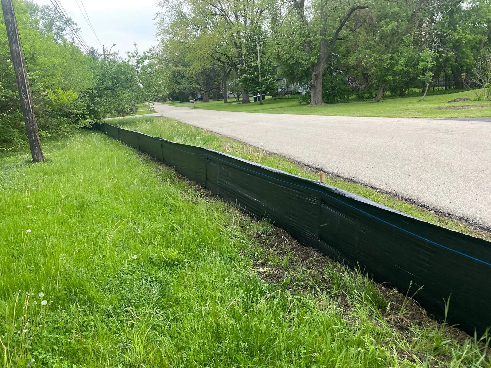 Silt Fence Installation project photo